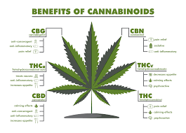 + InMed Pharmaceuticals Inc ( INM )
NASDAQ  USD0....