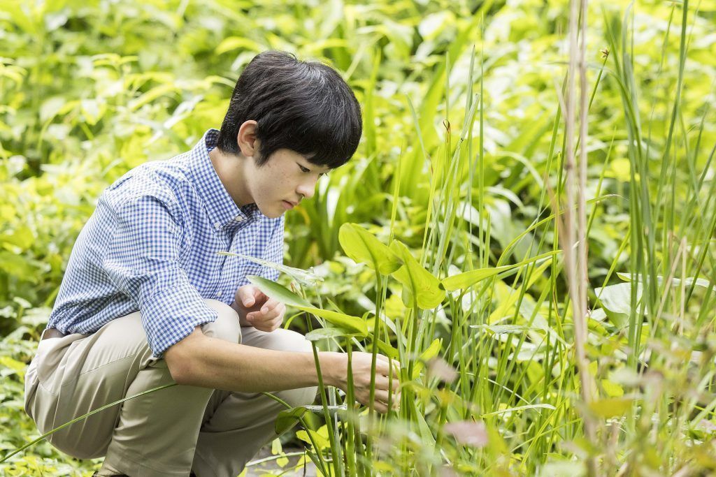 2024-09-07
在日本，皇位第二順位繼承人久仁親王於週五慶祝了自己的 18 歲生日...