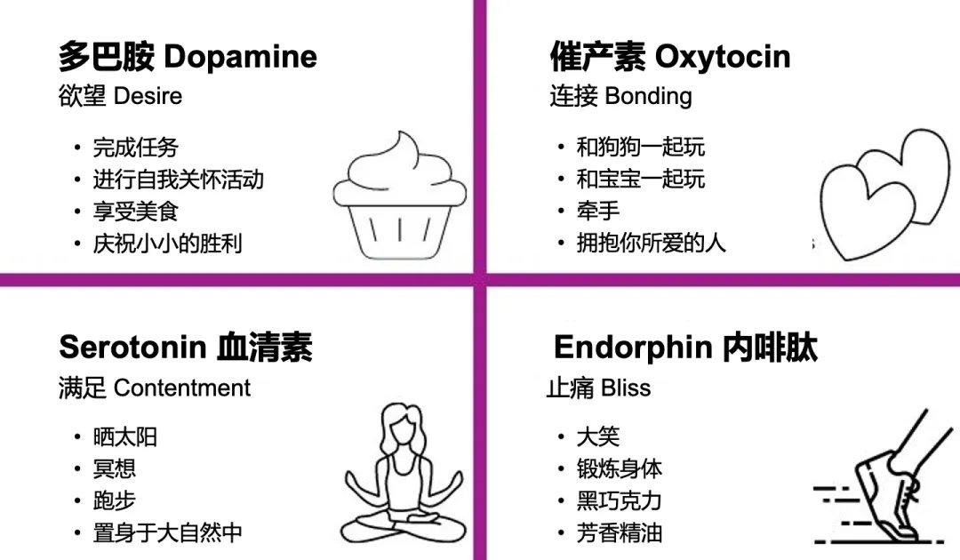 
多巴胺 DOPAMINE
催產素 OXYTOCHIN
血清素 SEROTONIN
內啡肽 ...