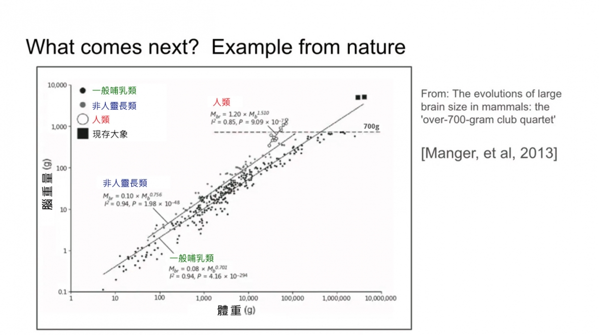 AI ~ 不同物種之間的大腦與體重的比例關係。
大多數哺乳動物遵循一種特定的 Scaling 模式...